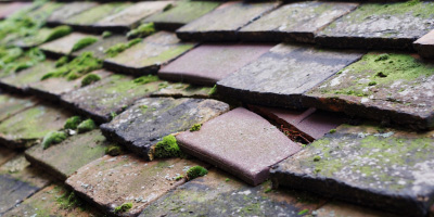 Wokingham roof repair costs